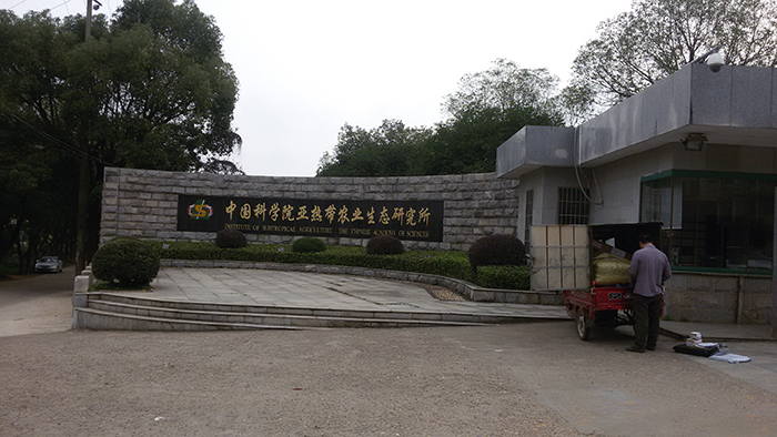 ����mansion88